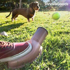 Lanceur de Balles pour Chiens Playdog InnovaGoods