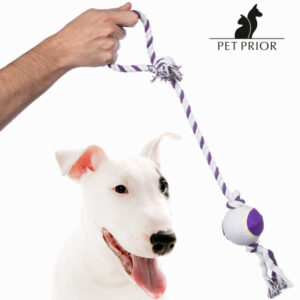 Corde avec Balle pour Chien Pet Prior