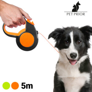 Laisse pour Chien Extensible Pet Prior (5 m)