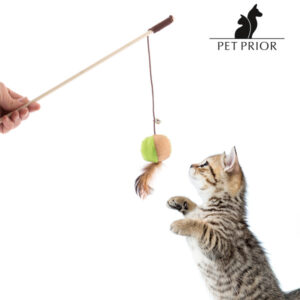 Jouet pour Chats Pet Prior